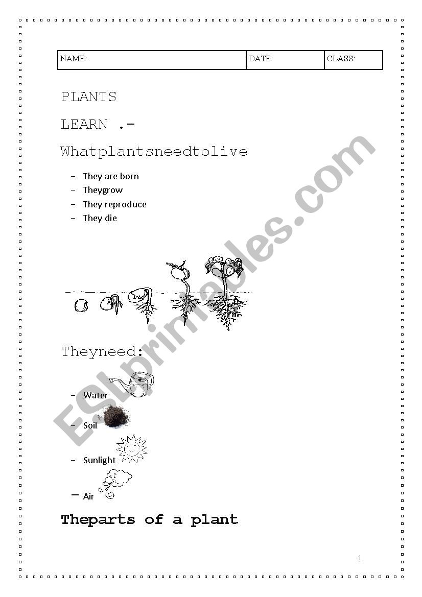 PLANTS worksheet