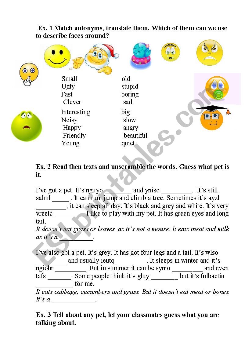 learning adjectives/ my pet worksheet