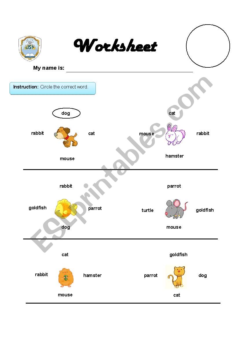 Pets... worksheet