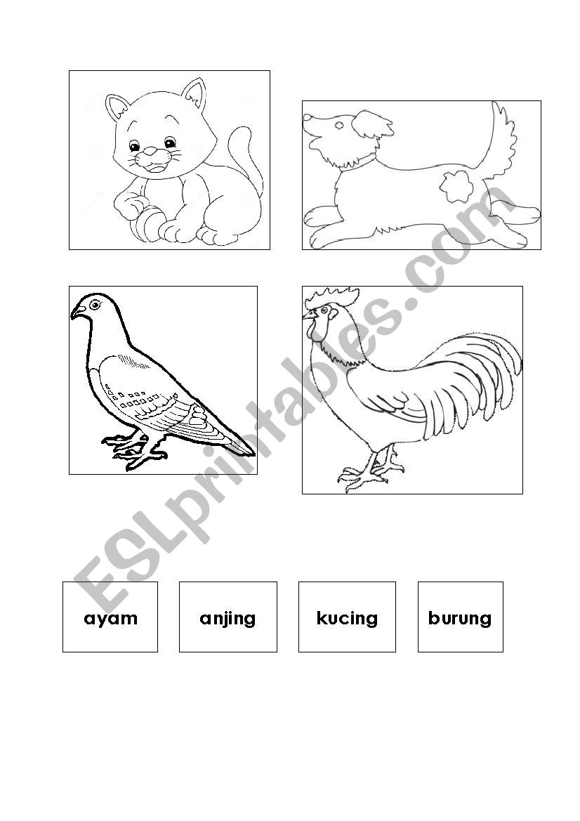 tame animals worksheet