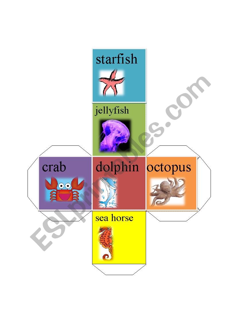 see animal dice-starfish jellyfish dolphin octopus sea horse crab