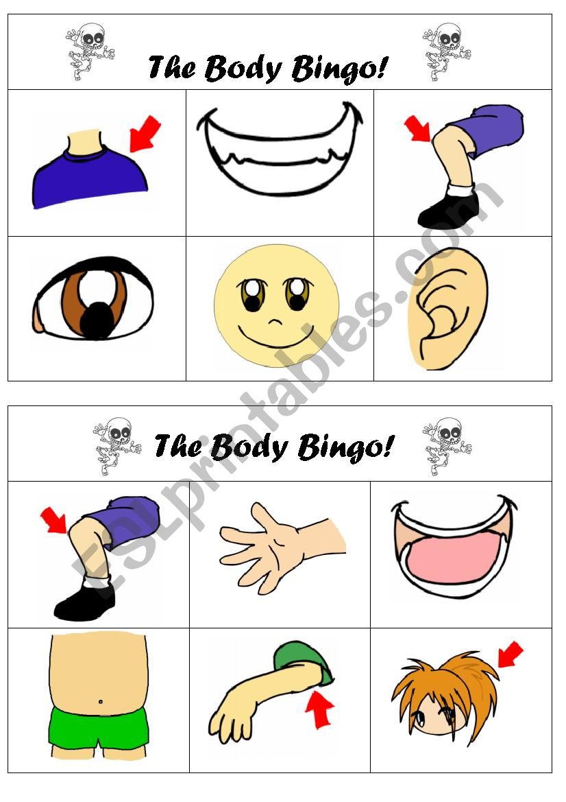 The body bingo worksheet