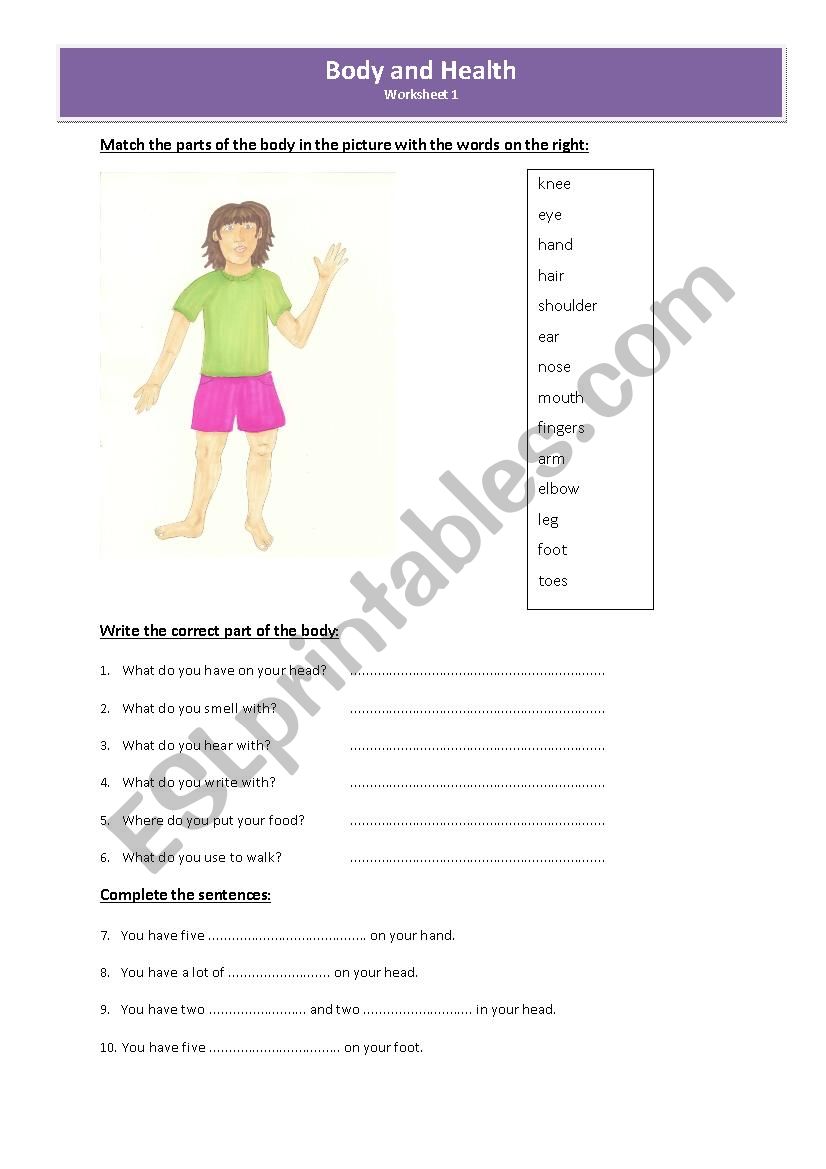 Body and Health worksheet
