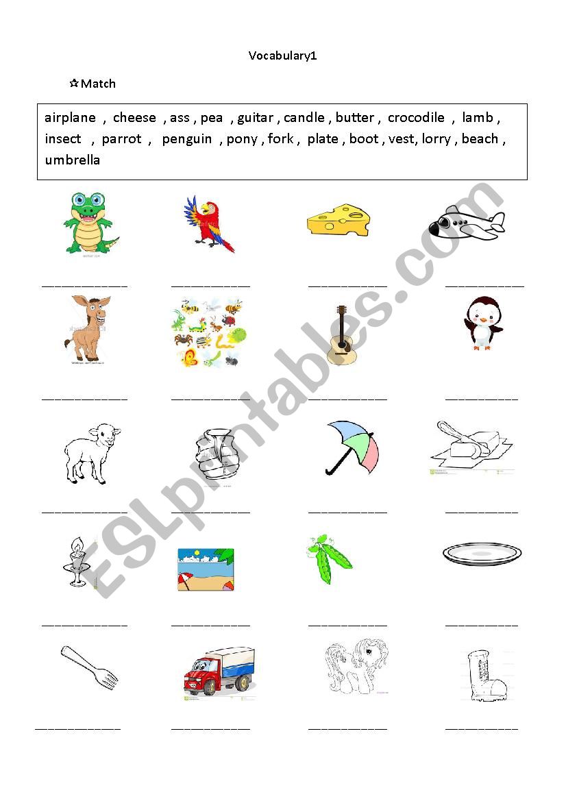 general vocabulary worksheet