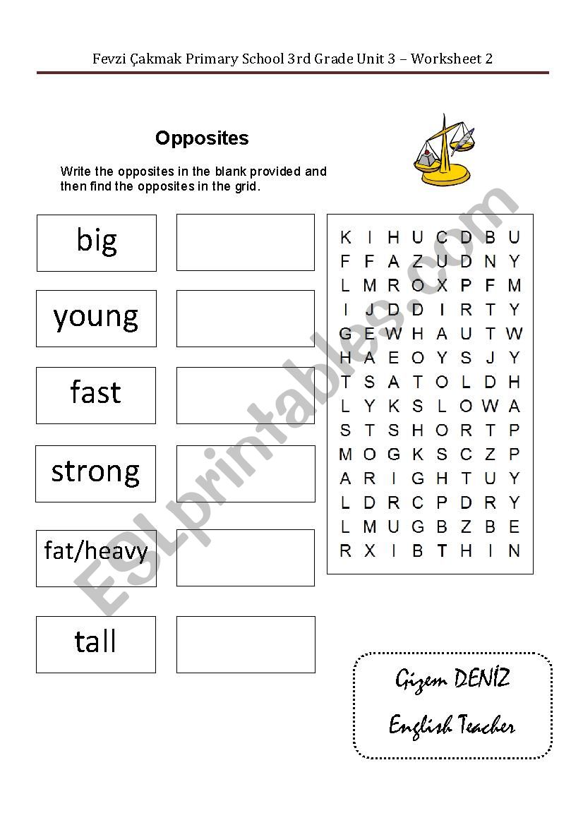 Opposite Adjectives worksheet