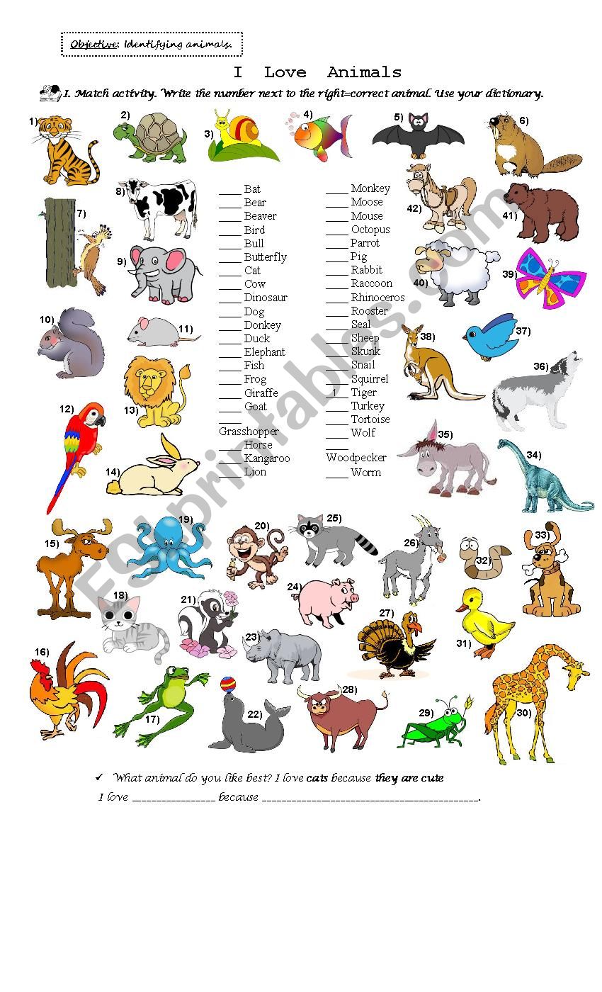 Animals worksheet