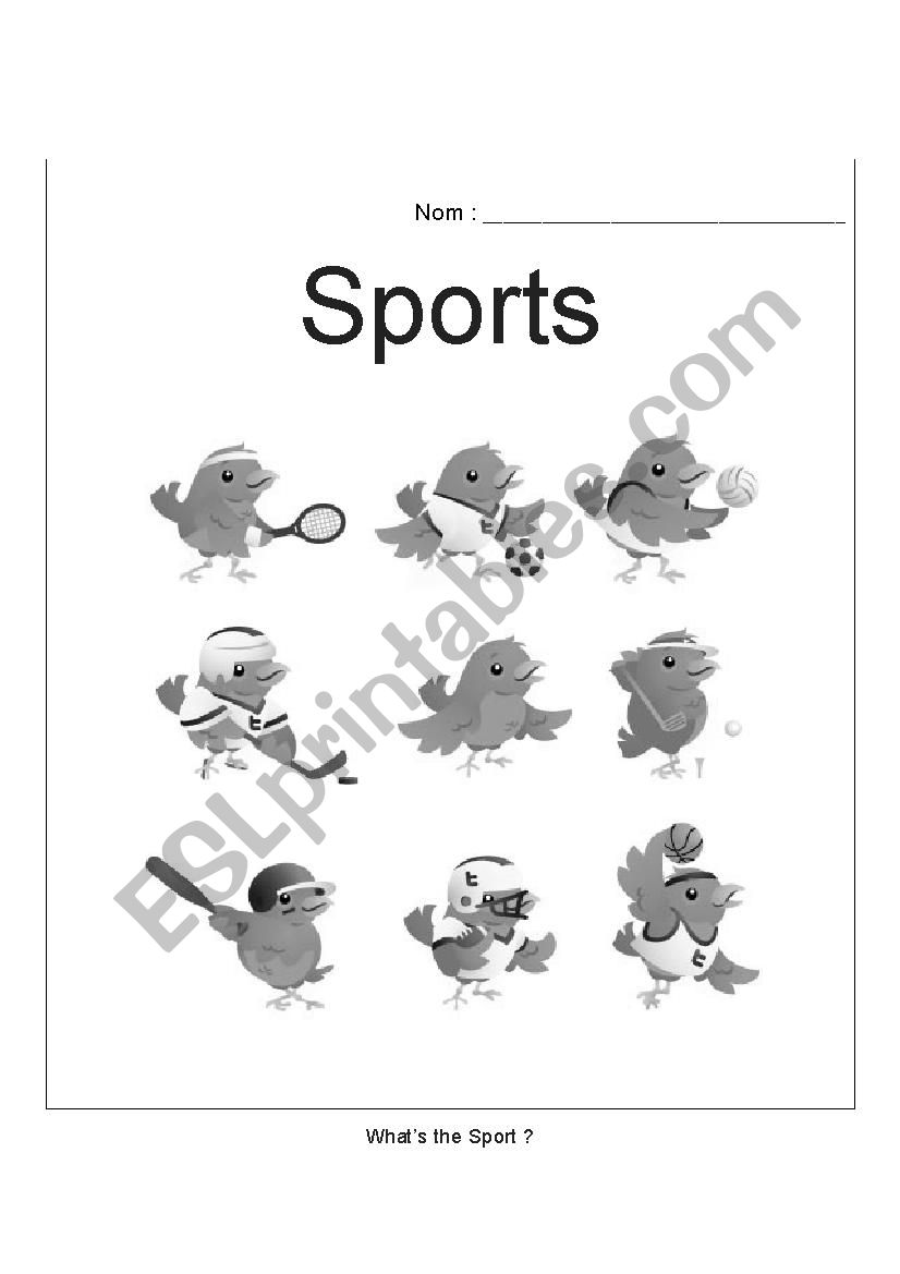 Whats the sport worksheet
