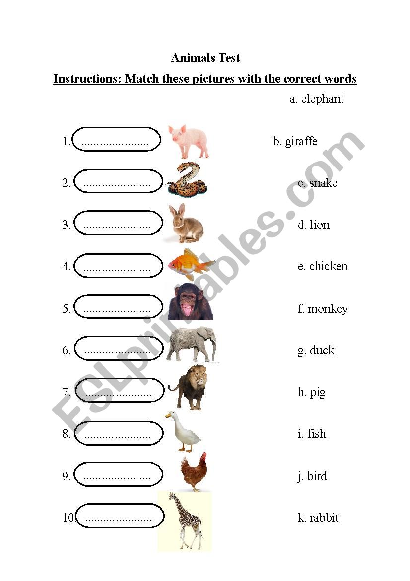 Animals Vocabulary Test Multiple Choice
