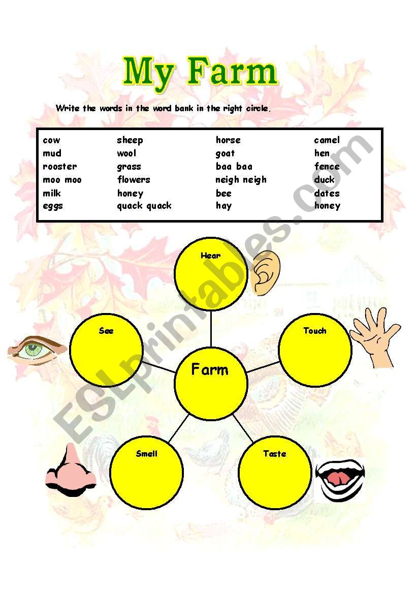 My Farm Map worksheet