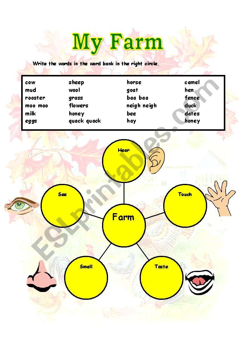 My Farm Map worksheet