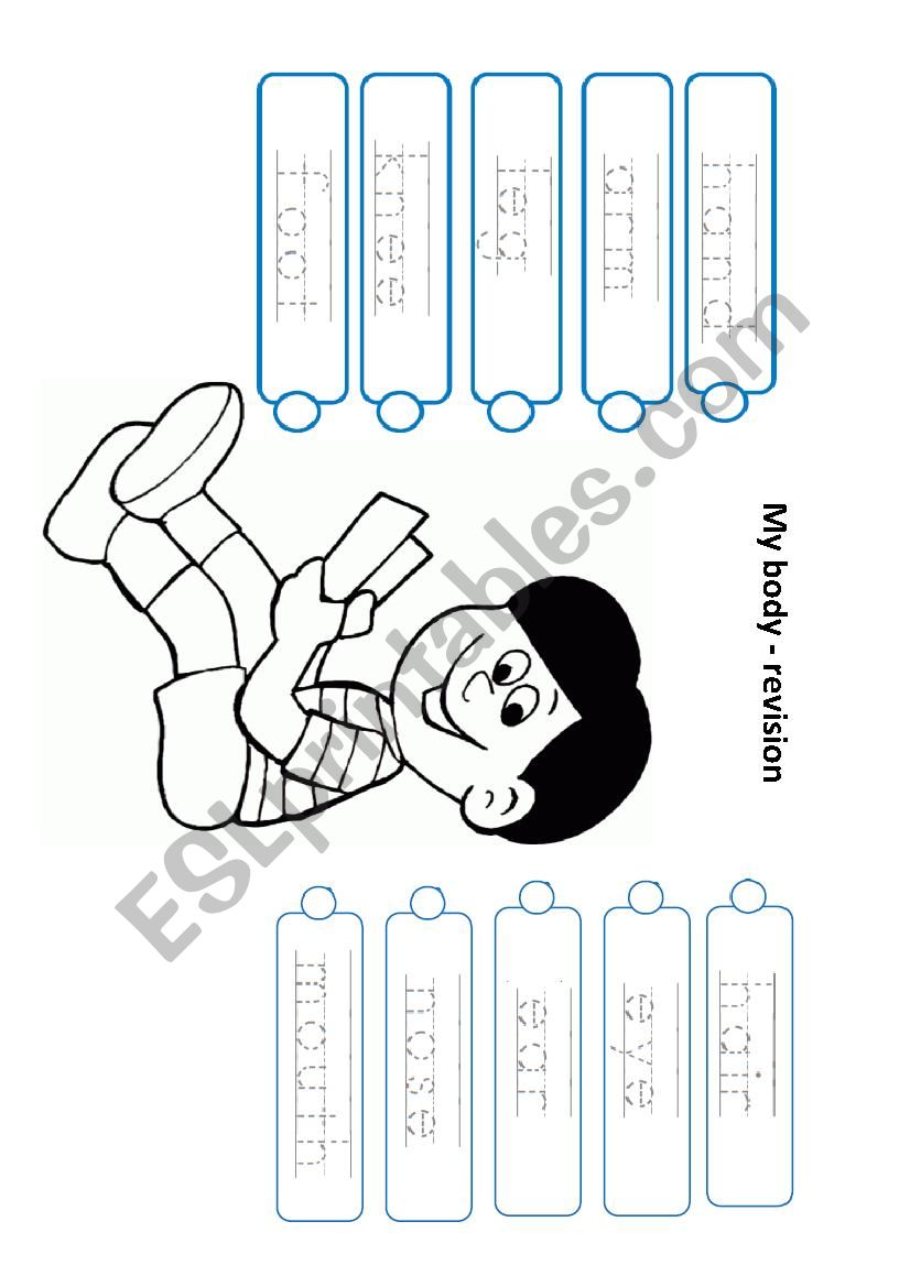 My body revision worksheet