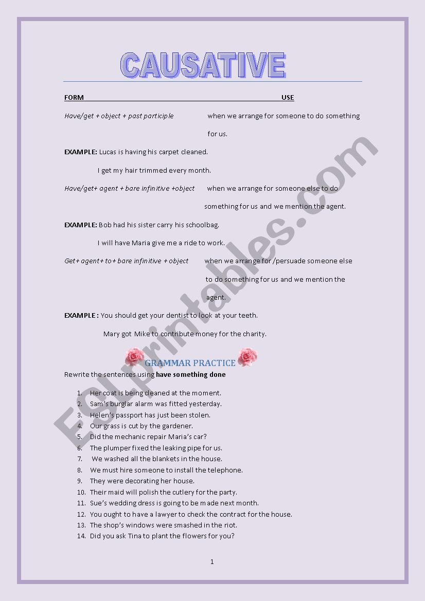 causative worksheet