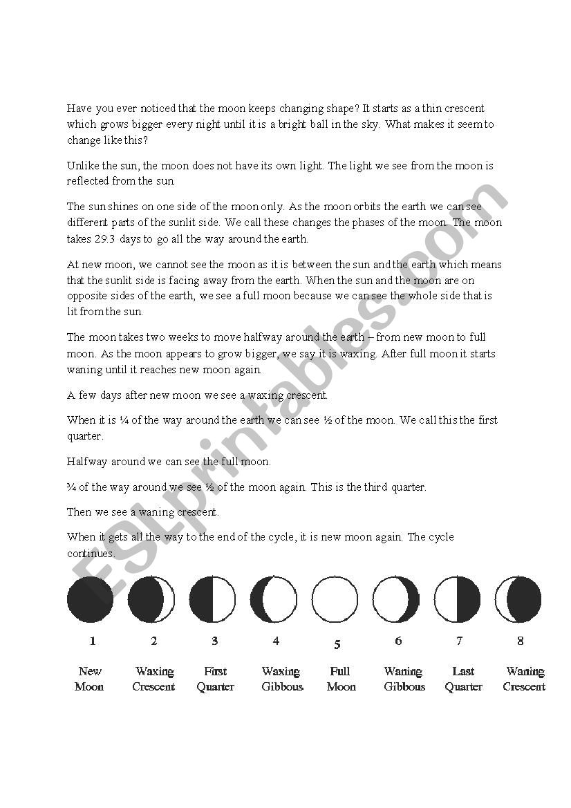 Phases of the Moon worksheet