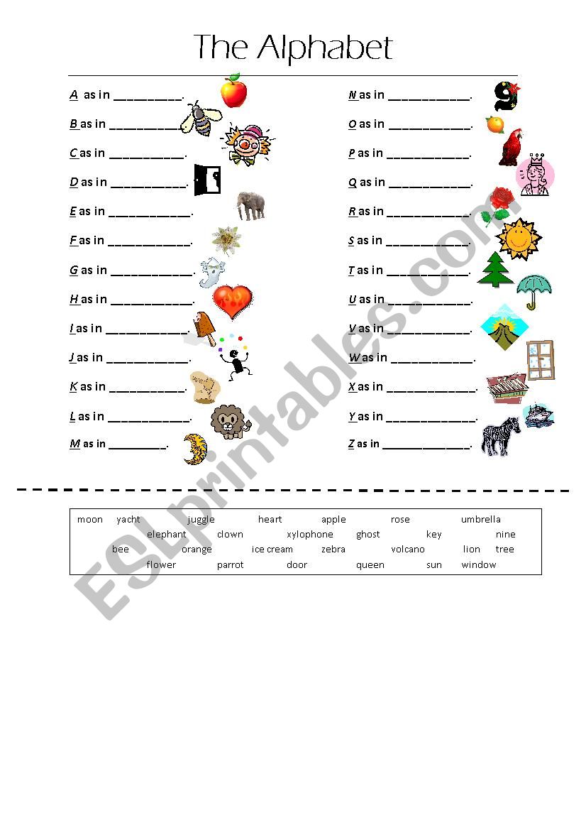 Alphabet Worksheet worksheet