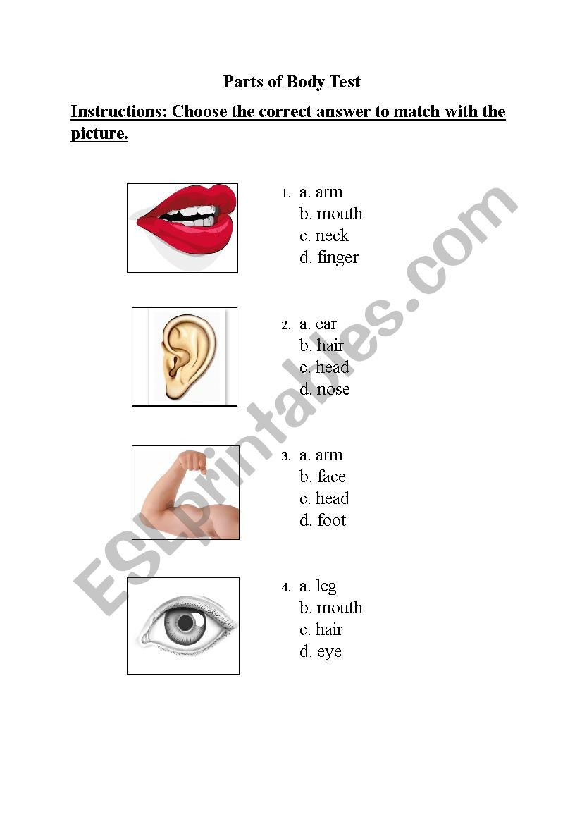 Parts of Body Vocabulary Test worksheet