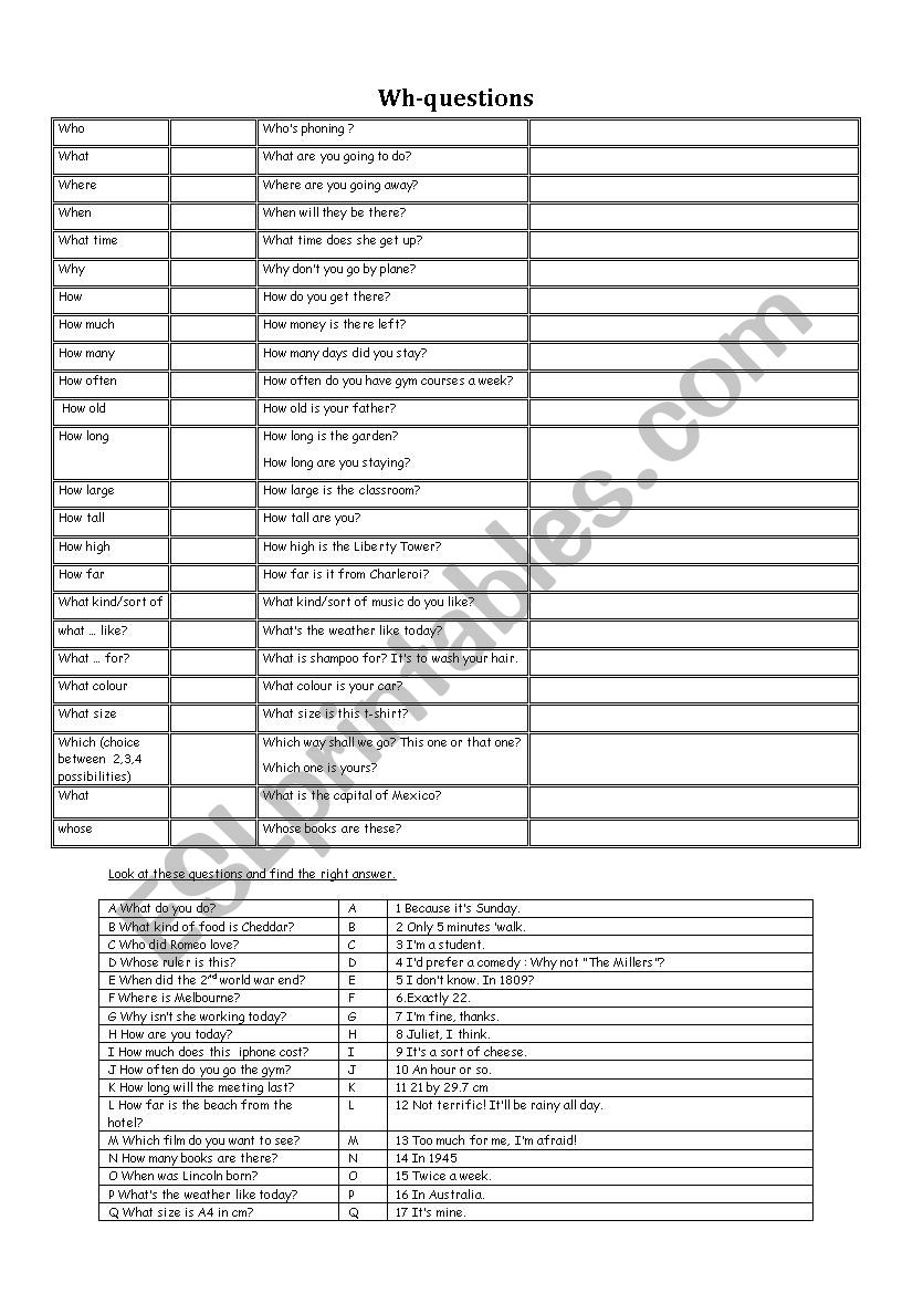 Wh-questions worksheet