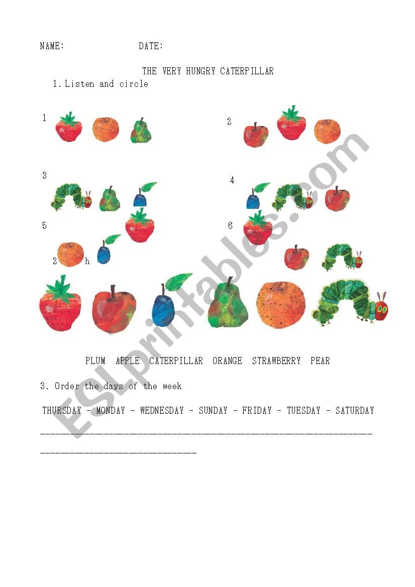 The very  hungry caterpillar worksheet
