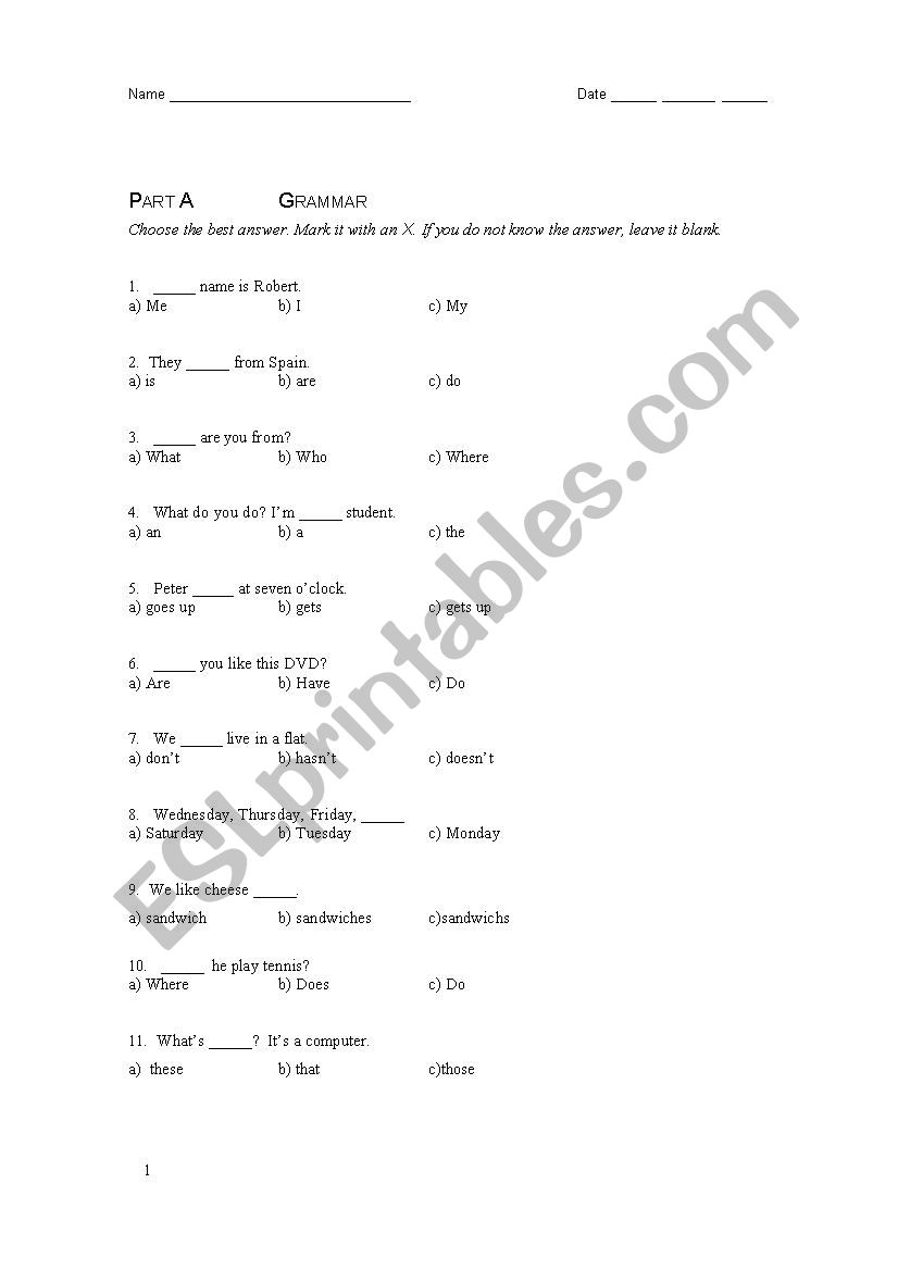 Elementary Grammar Test worksheet