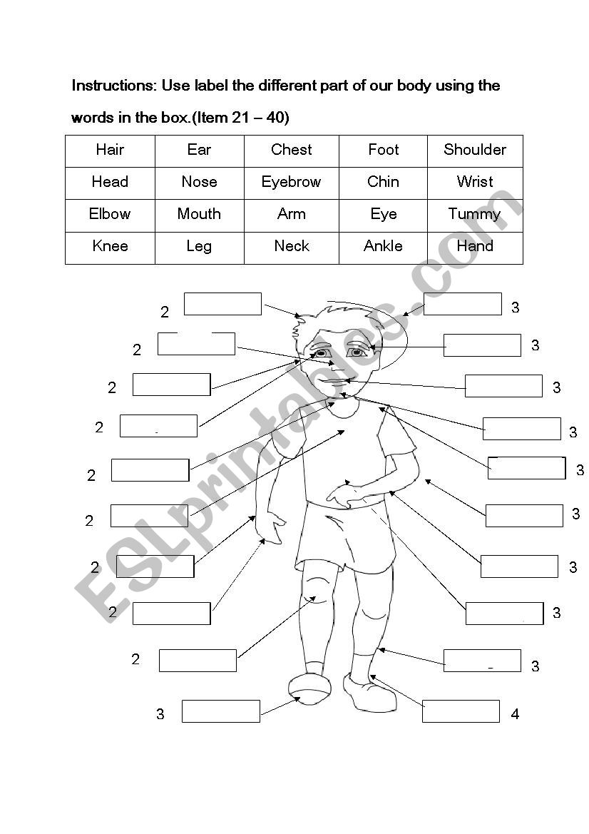 part of body worksheet