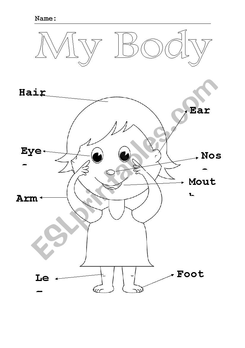 The body parts  worksheet