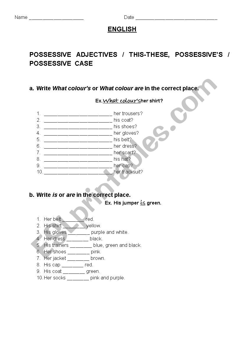 POSSESSIVE ADJECTIVES / THIS-THESE, POSSESSIVES / POSSESSIVE  CASE