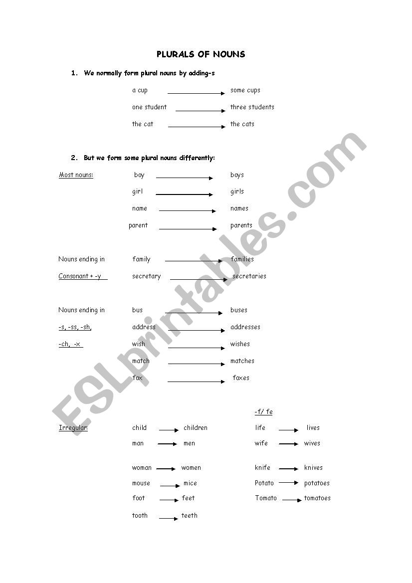 plurals of nouns worksheet