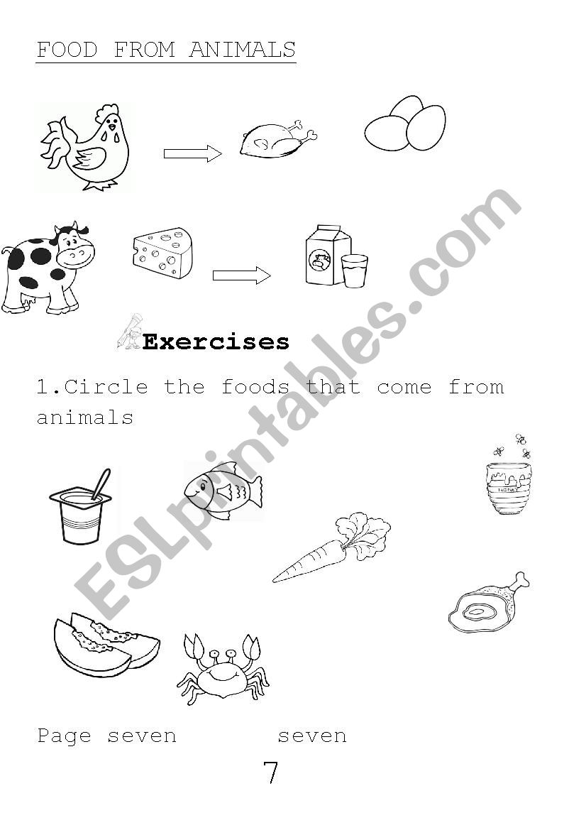 Food from plants and animals worksheet