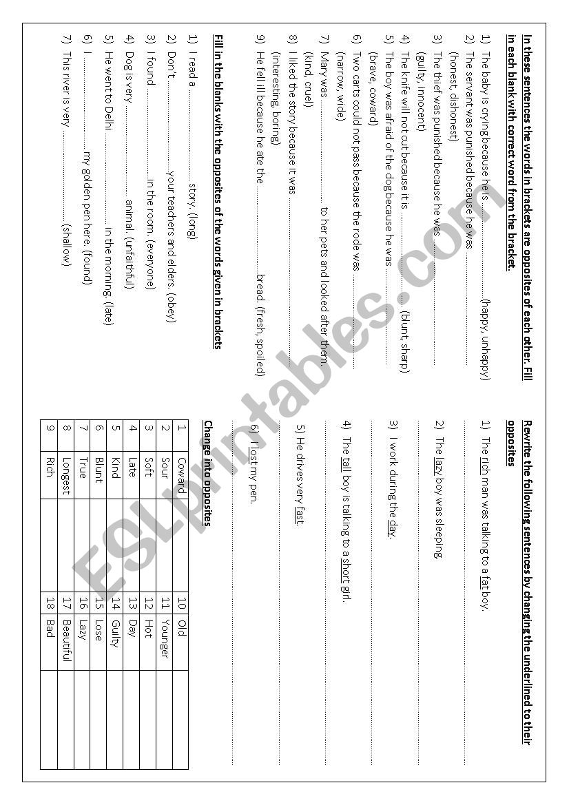 Opposites  worksheet