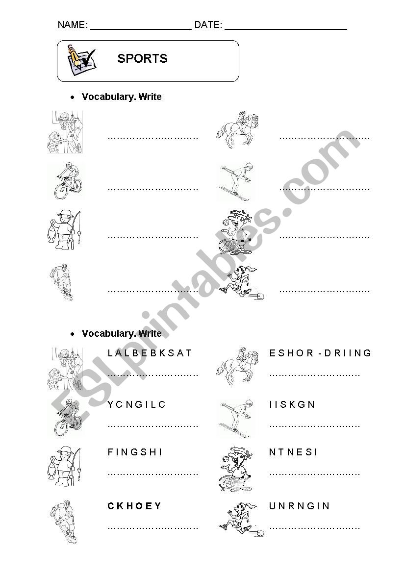 sports worksheet