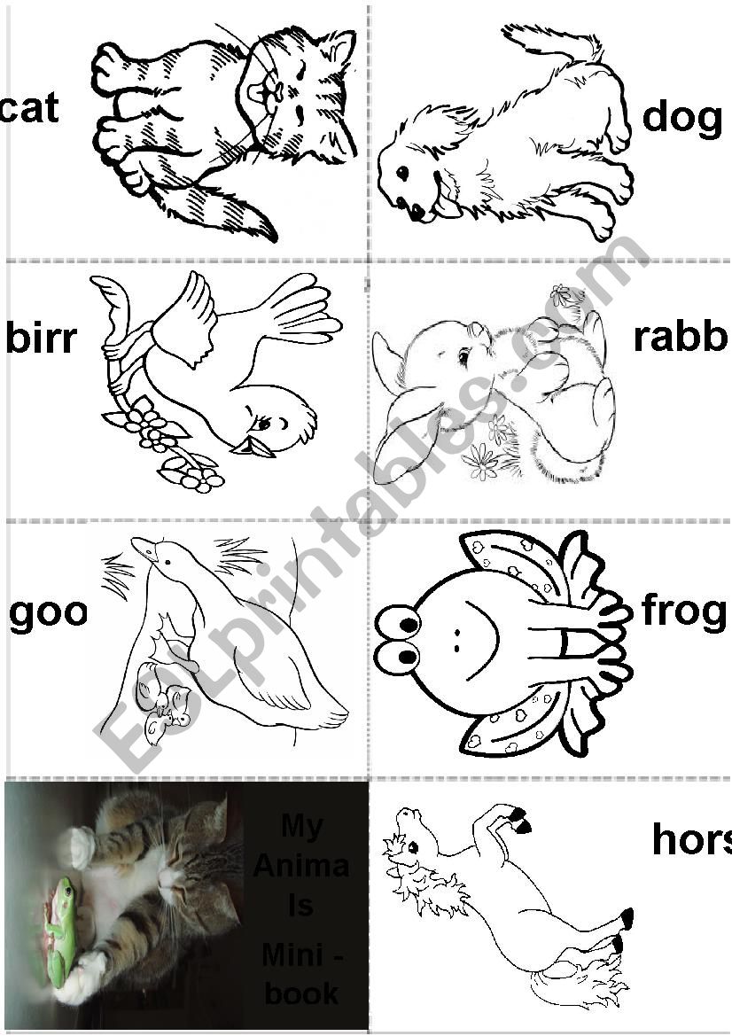 My Animals - Mini Book 2 worksheet