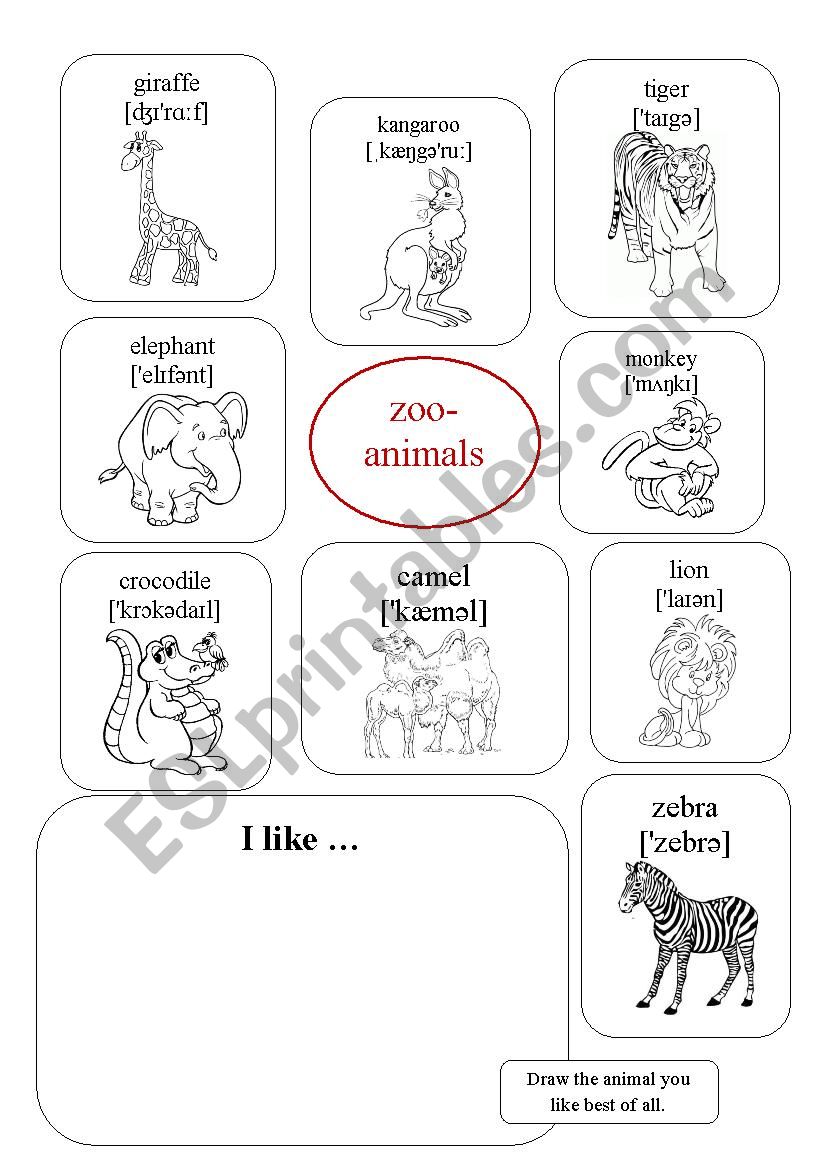 Zoo animals worksheet