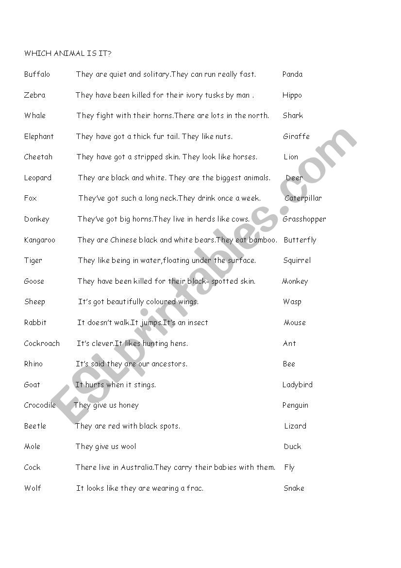  animal guessing worksheet