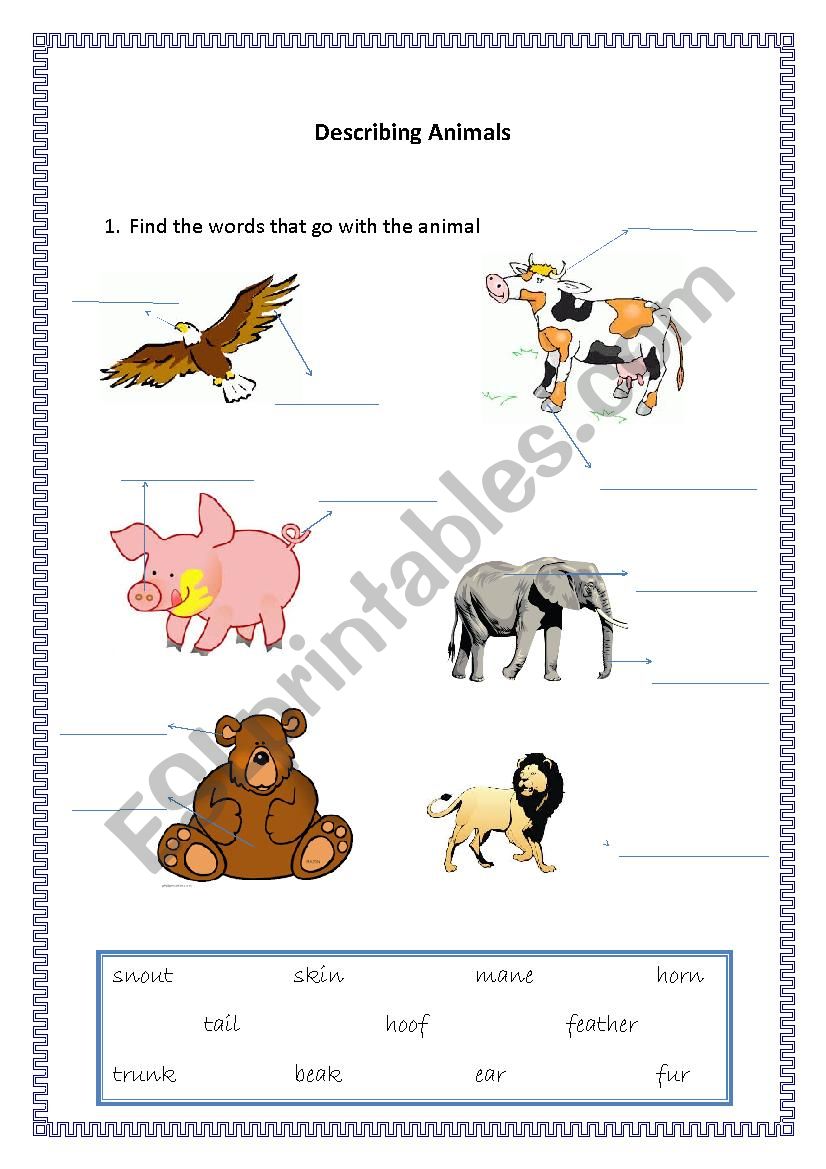 Describing animals worksheet