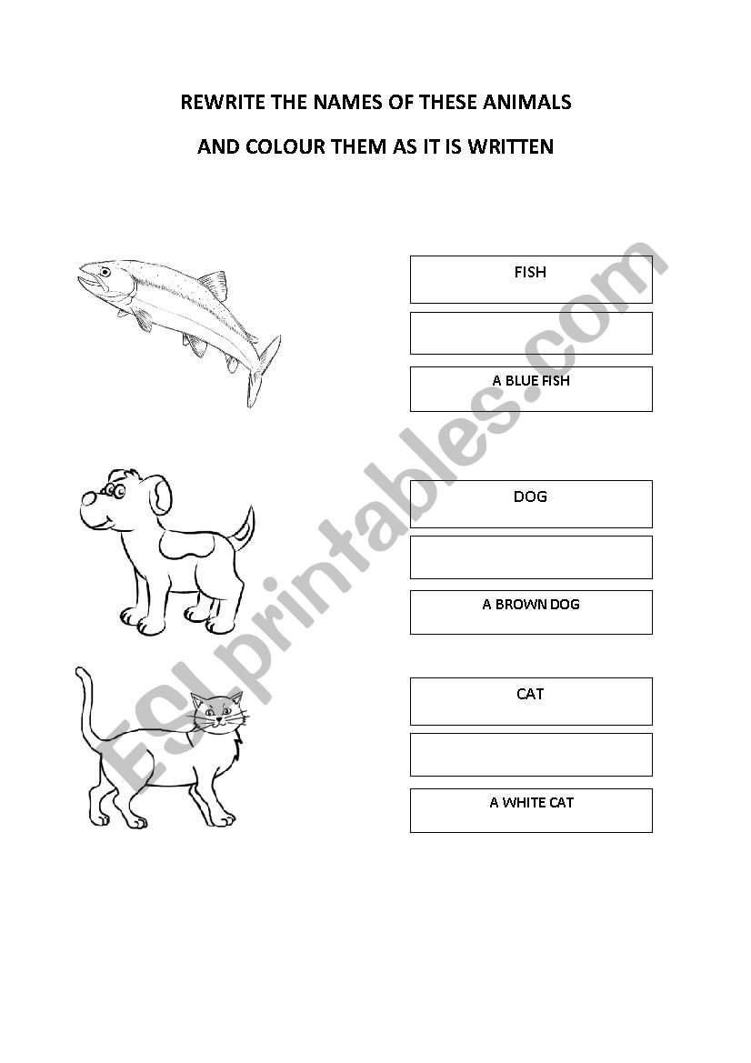 Animals: write and colour worksheet