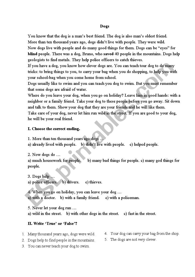 Reading comprehension worksheet