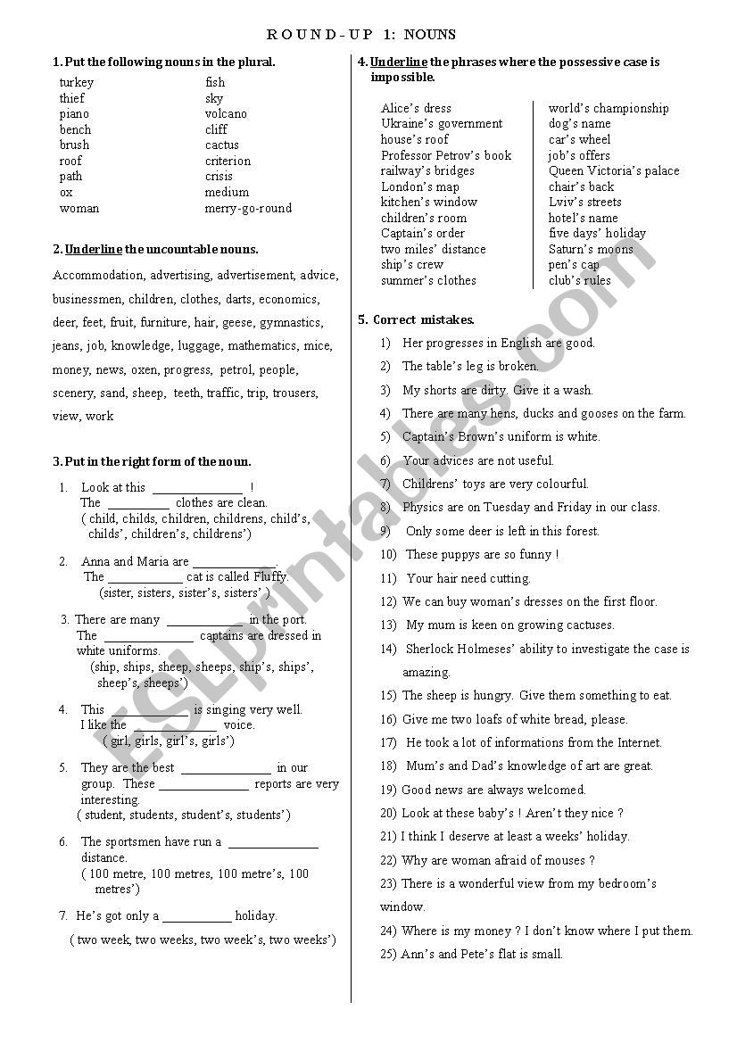 Round-Up:Noun worksheet