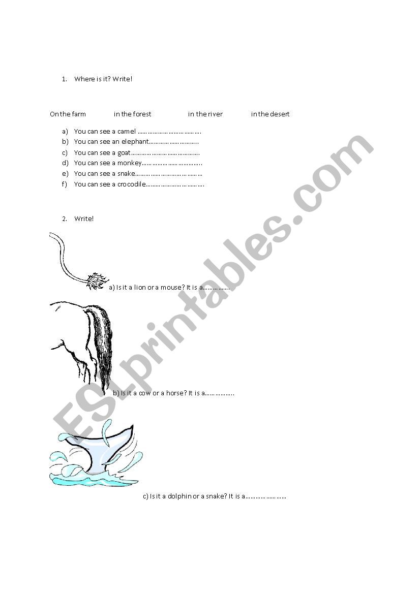 Lets play with animals! worksheet