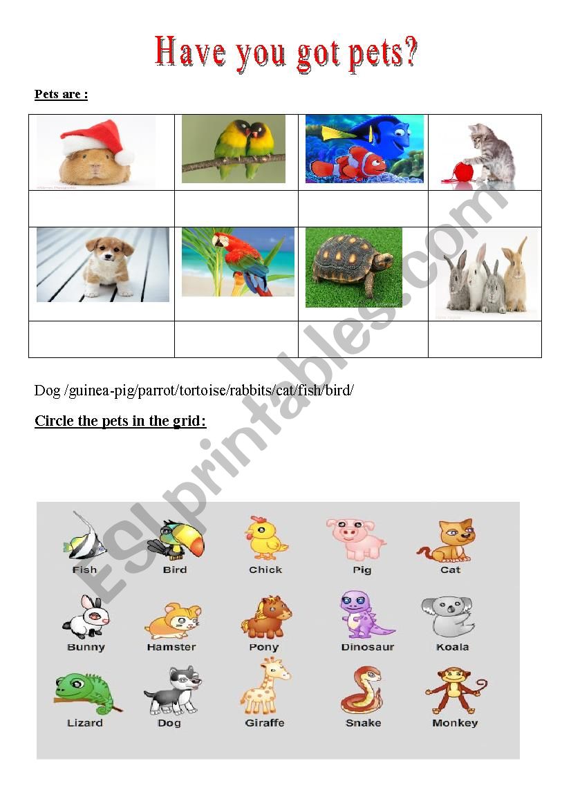 pets worksheet