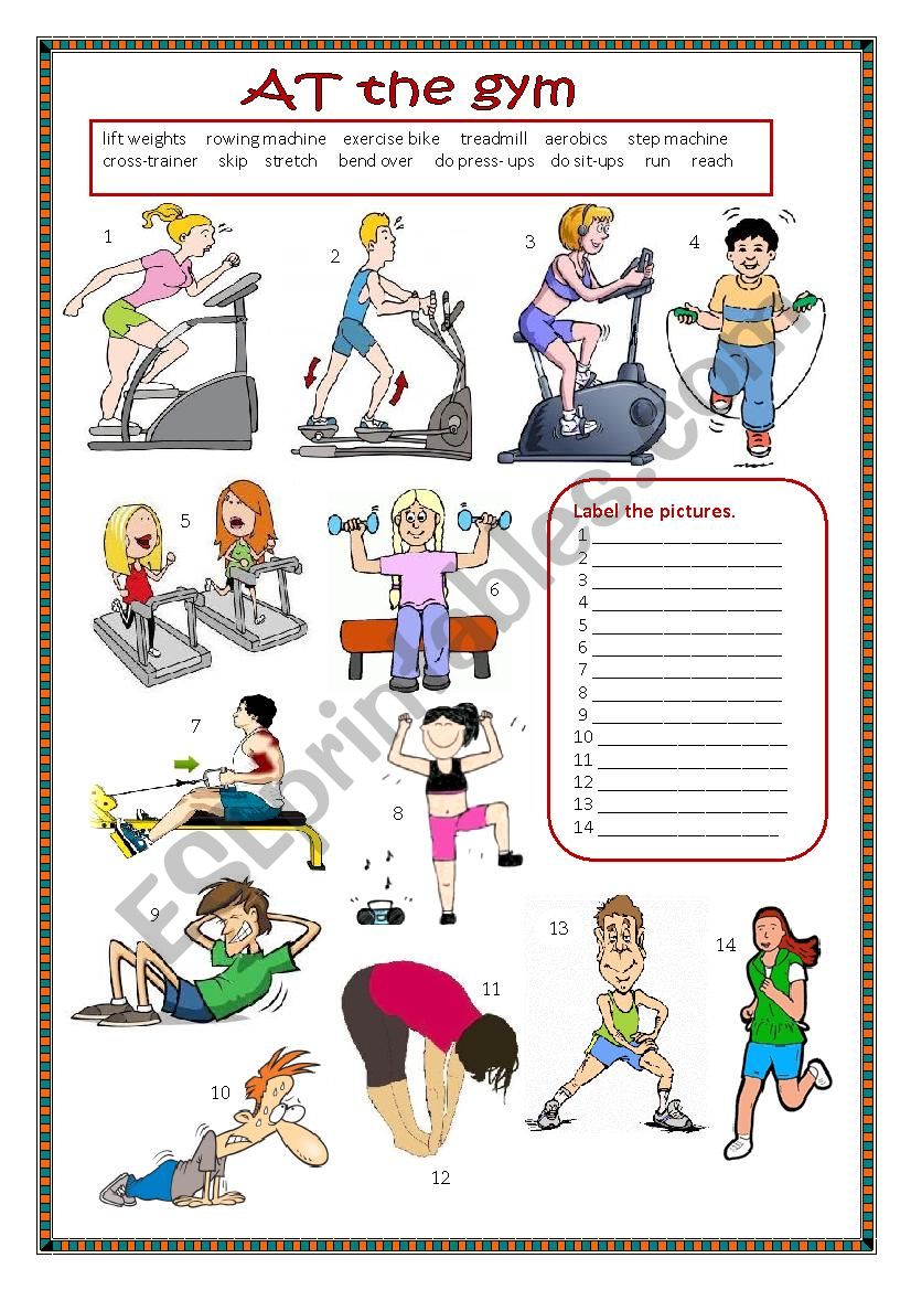 At the gym. worksheet