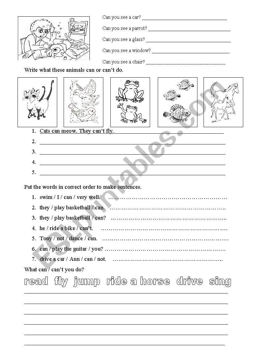 Verb Can worksheet