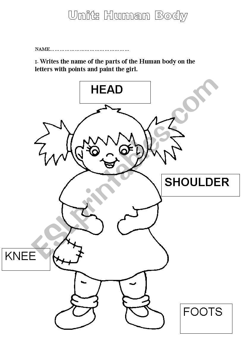 parts-of-the-human-body-english-vocabulary-english-vocabulary-words-learning-english-exercises