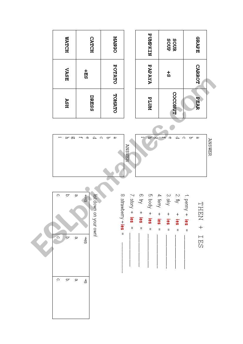 singular and plural worksheet