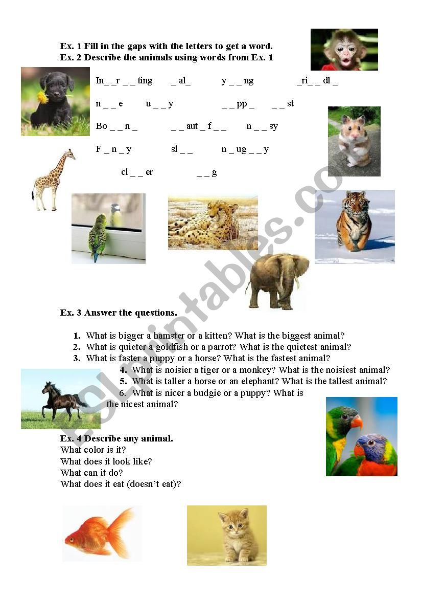 comparing animals worksheet