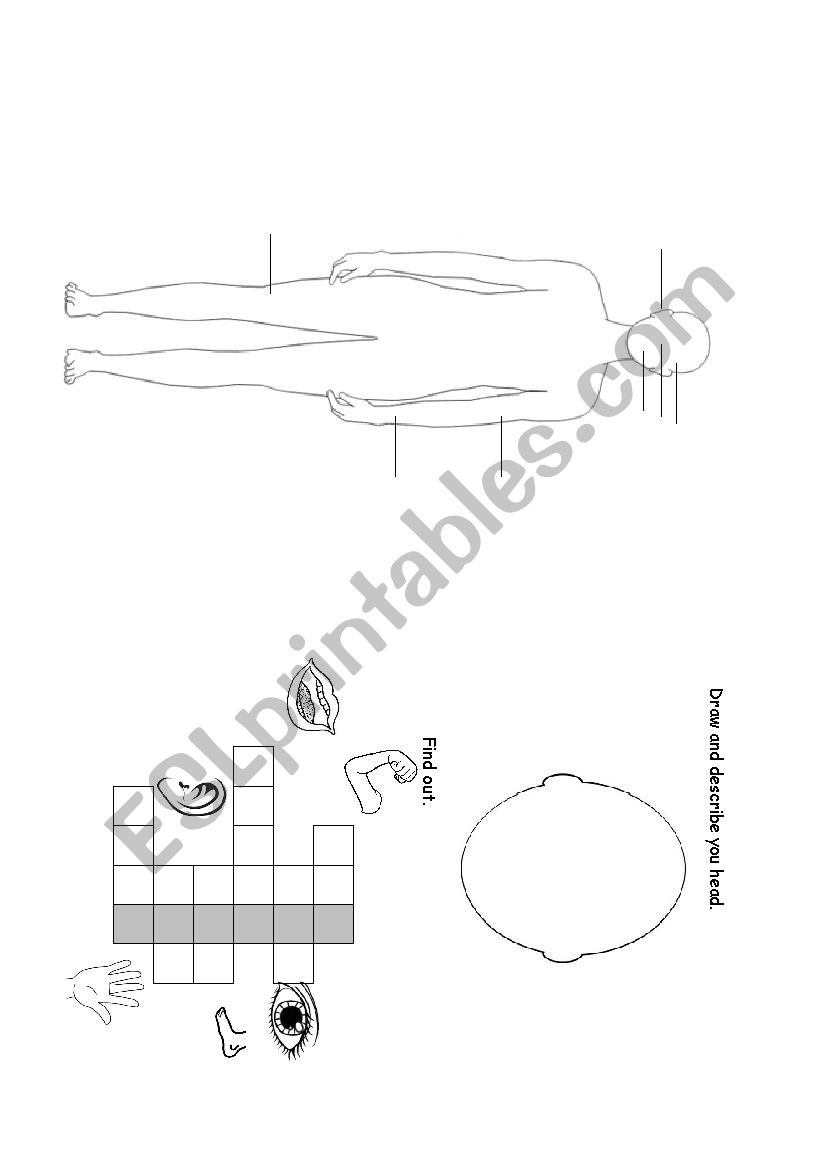 My body worksheet
