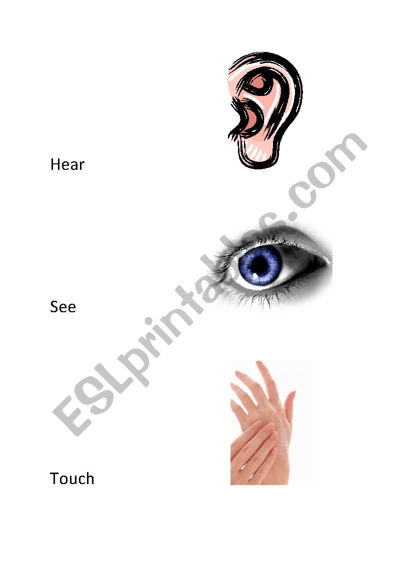 Senses worksheet