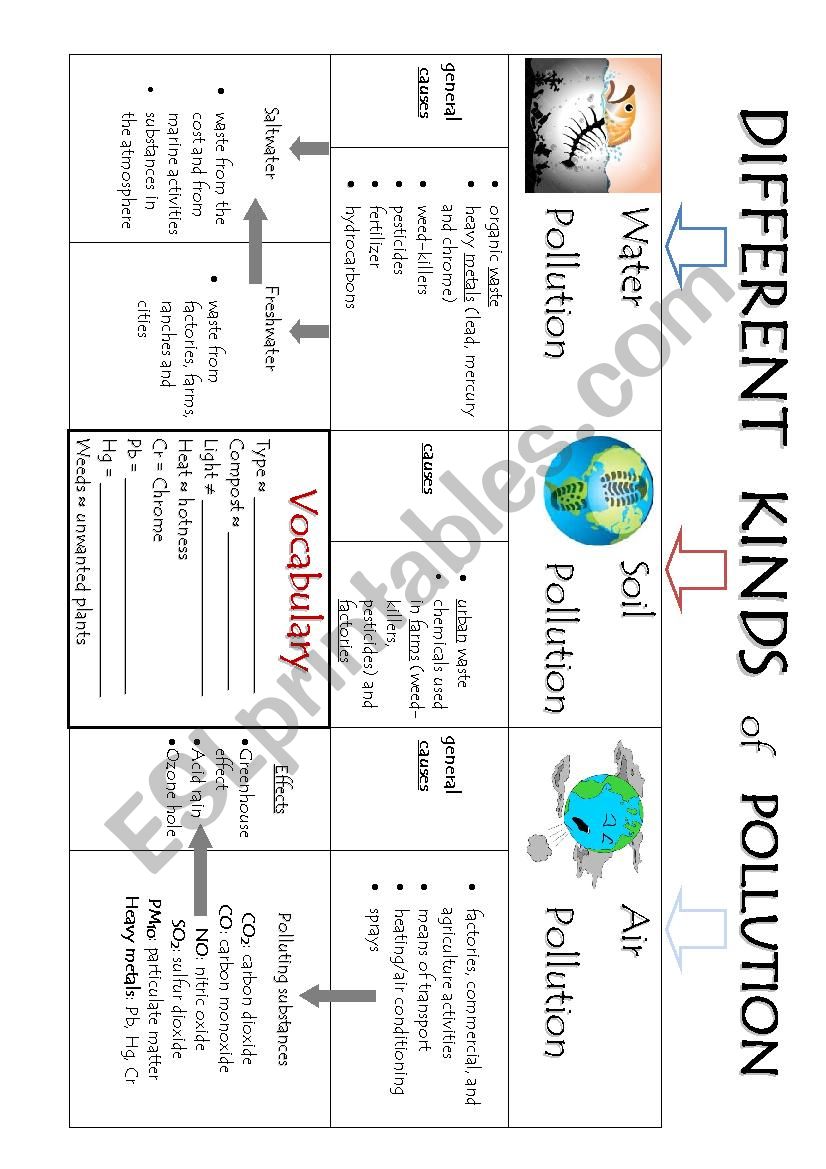 Different kinds of pollution worksheet