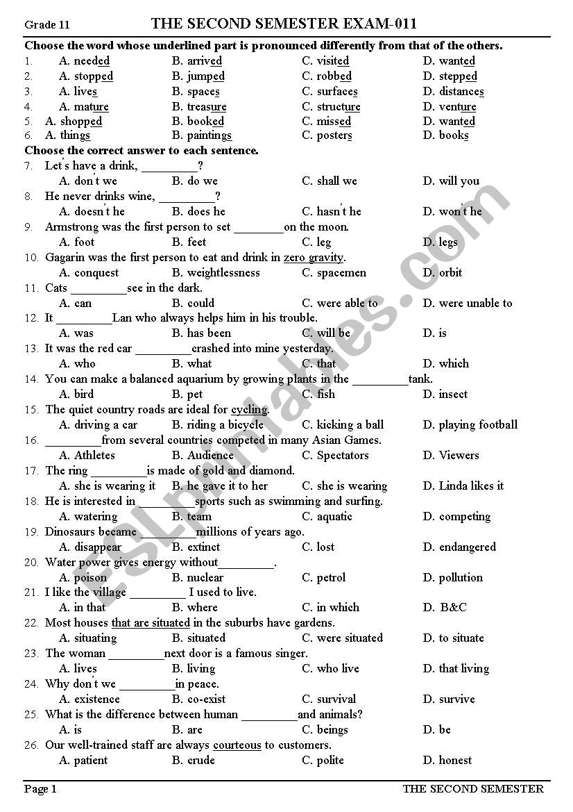 ontapkiemtra worksheet