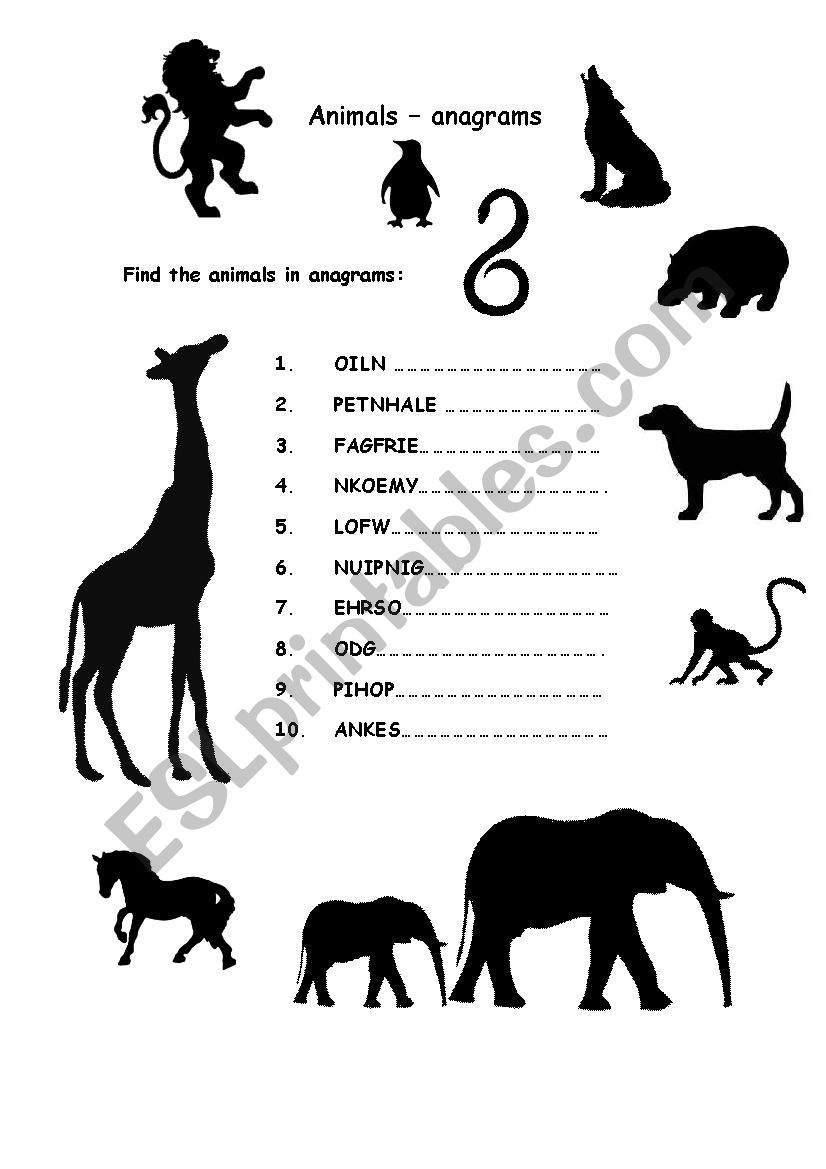 Anagram - animals worksheet