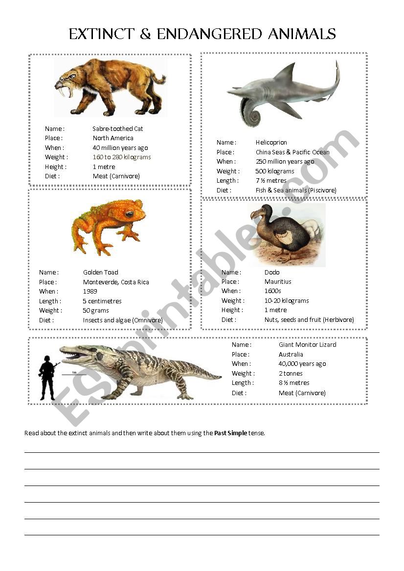 Extinct and endangered animals - ESL worksheet by kirstyjay.