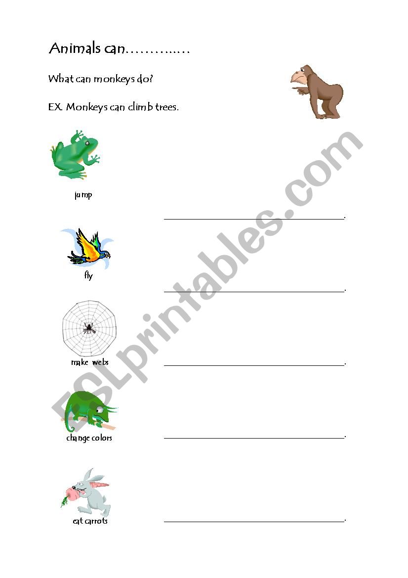 Animals can worksheet